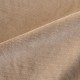 SATRERIA PEACH 8205 SATRERIA PEACH 8205